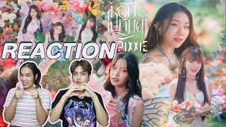 ติ่งไปเรื่อยพารีแอค PiXXiE - ชอบไปหมด (Way Too Cute) MV l Reaction