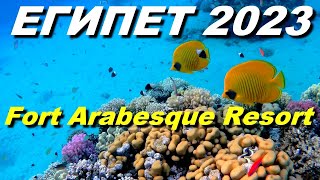 Египет 2023.Отель Fort Arabesque Resort, Makadi Bay. А что под водой?Коралловый риф и подводный мир.