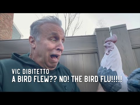 A bird flew?? NO! THE BIRD FLU!!!!!