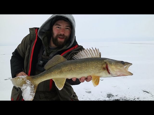 Hour of Power Walleyes - MidWest Outdoors