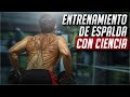 El mejor entrenamiento de espalda / CIENTÍFICAMENTE COMPROBADO