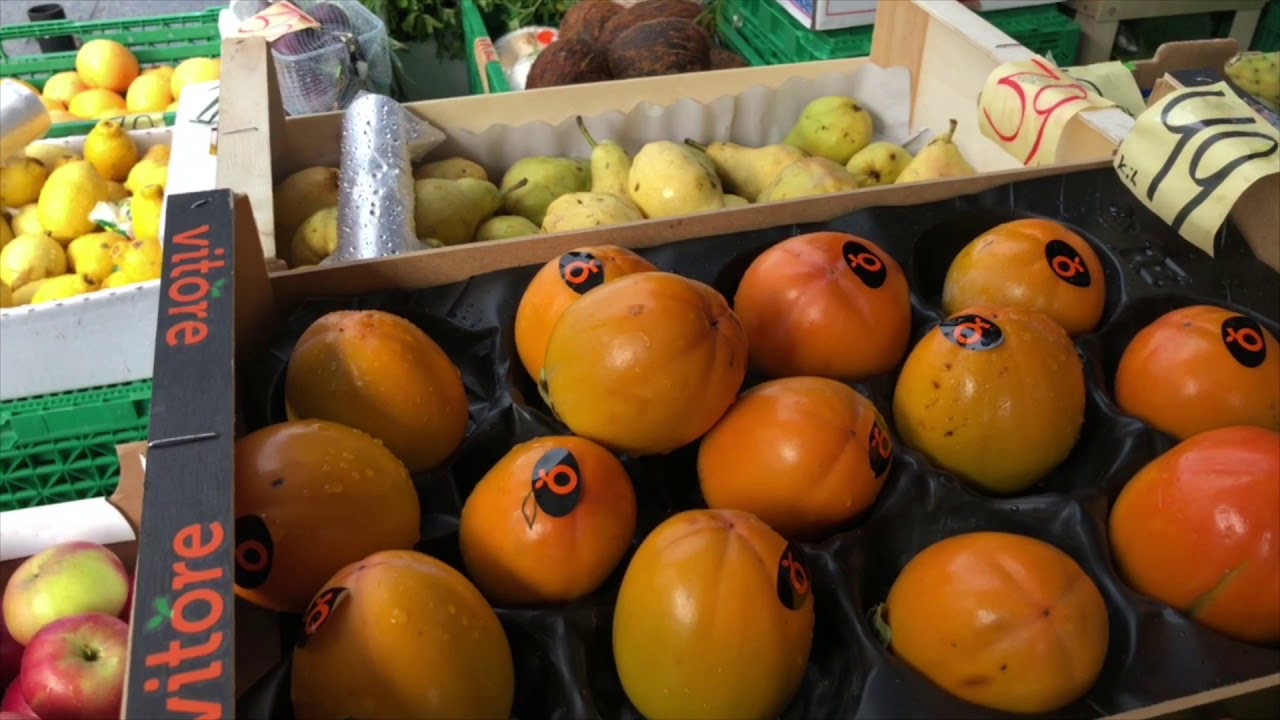 NESTTUN Dạo chơi 😁