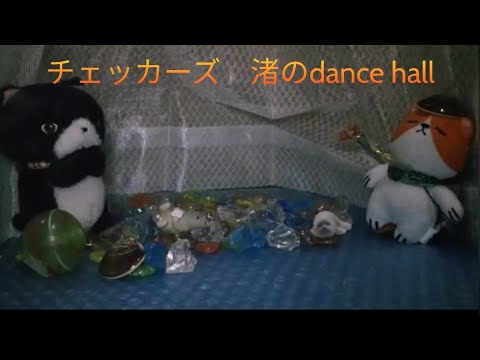【チェッカーズ⑮】渚のdance hall （1984）/cover-108　#藤井郁弥 #芹澤廣明 #うちの子にかぎって