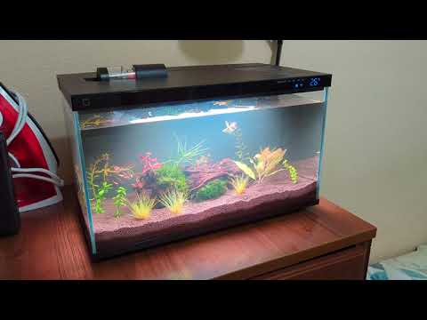 Видео: УМНЫЙ АКВАРИУМ XIAOMI (MIJIA SMART FISH TANK)