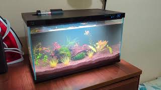 УМНЫЙ АКВАРИУМ XIAOMI (MIJIA SMART FISH TANK)