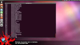 Process Identificaton and Termination