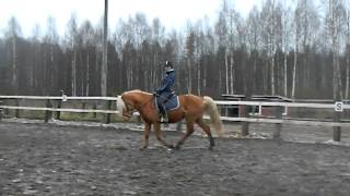 voikko 009