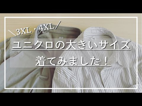 【3XL・4XL】ユニクロの大きなサイズの服を着てみました