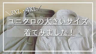 【3XL・4XL】ユニクロの大きなサイズの服を着てみました