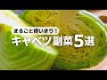 【大量消費】キャベツ１玉使い切り！パパッと作れる副菜5品