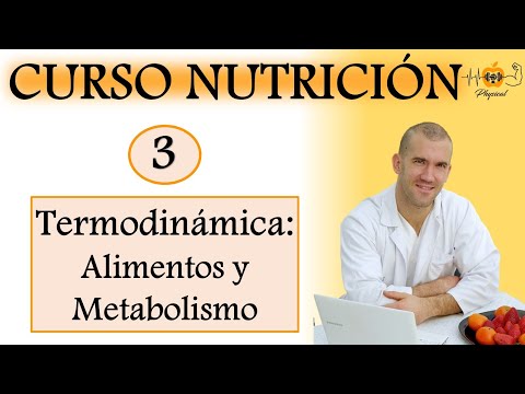 🔸CURSO DE NUTRICIÓN DEPORTIVA  -  PARTE 3 🔸