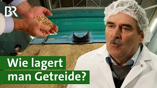 Optimale Lagerung von Getreide in der Bio-Mühle | Haferflocken | Unser Land | BR