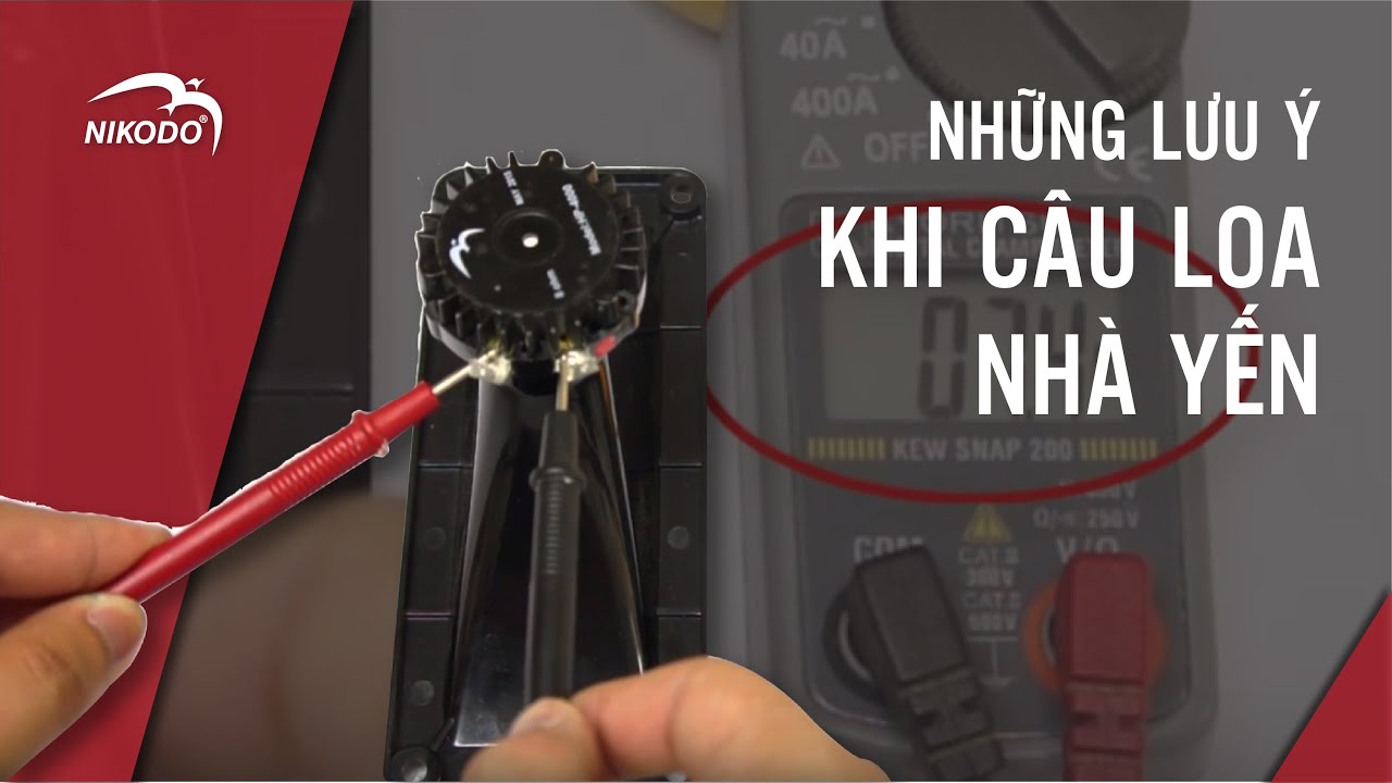 NHỮNG LƯU Ý KHI CÂU LOA NHÀ YẾN | Vấn Đề | Nikodo - Thiết bị nuôi yến chuyên nghiệp