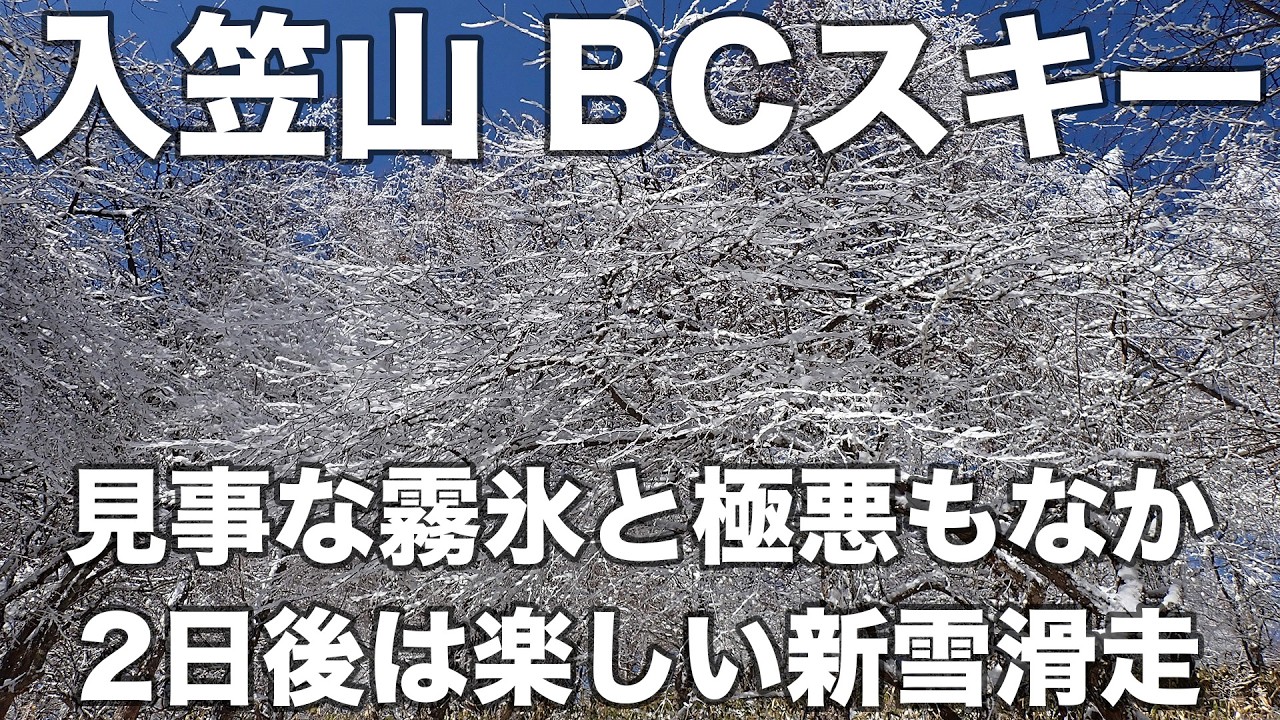 【速報】入笠山 BCスキー 2026年3月5日 見事な霧氷と極悪もなか、でも2日後は楽しい新雪滑走