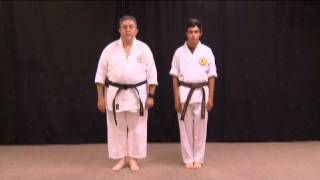 Introduction Goju-Ryu Basic EDO Training 1/4 screenshot 5