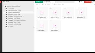 DOWNLOAD; Coach Kyle – Magnetic Vibe Blueprint screenshot 1