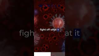 Exclusive Do allergies cause body aches? Information