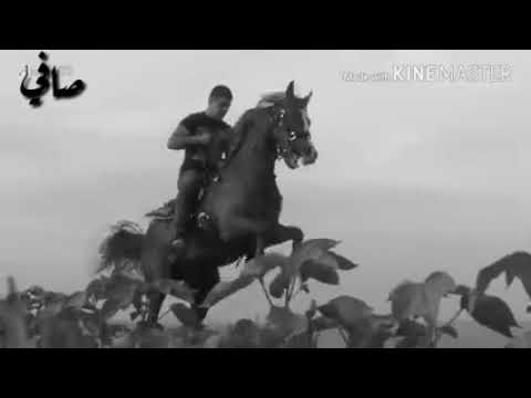 اه لوين شدو الفرس