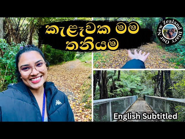 නවසීලන්තයේ නගරෙ මැද කැළෑව | තනියම මම ගිය ගමන| New Zealand Solo Vlog class=