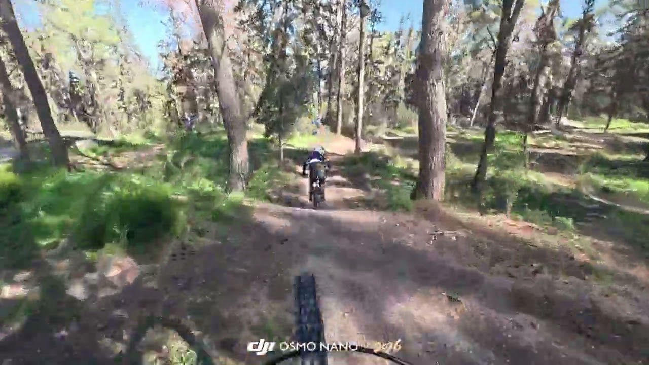 20 בפברואר 2026