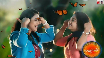 Kavyanjali Telugu Serial....Title Song.....#kavyanjali #geminitv