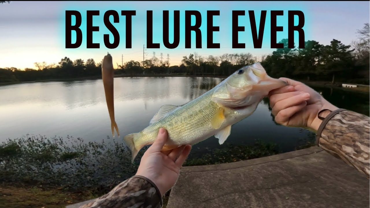 GREAT day of bass fishing with the best fall bass lure ever!