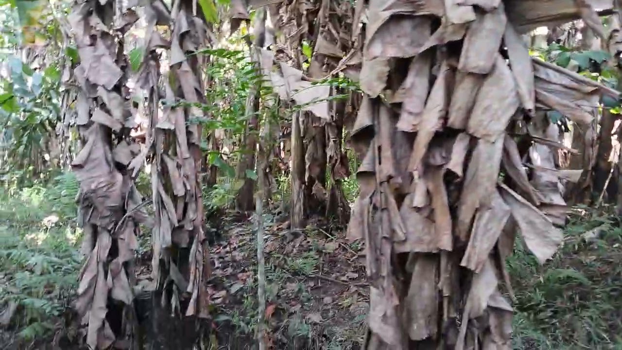 Property For Sale in Nagcarlan, Laguna