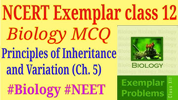 Principles of inheritance and variation class 12 ncert exemplar mcq for neet