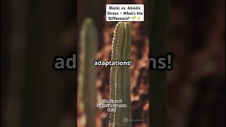 Biotic Vs. Abiotic Stress Whats The Difference?