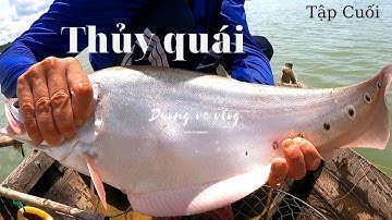 Thú Vị Nghề Câu Cá Nàng Hai l Câu cá Thác Lác cườm l Câu cá Hoàng Đế l Cắm Trại Câu Cá Và Nấu Nướng