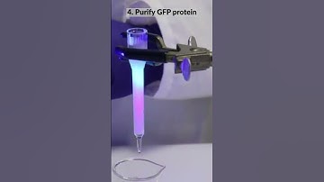 Bioprocessing in under 10 seconds with Edvotek