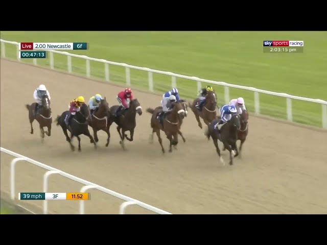 Son of Frankel Fivethousandtoone looks like a weapon!