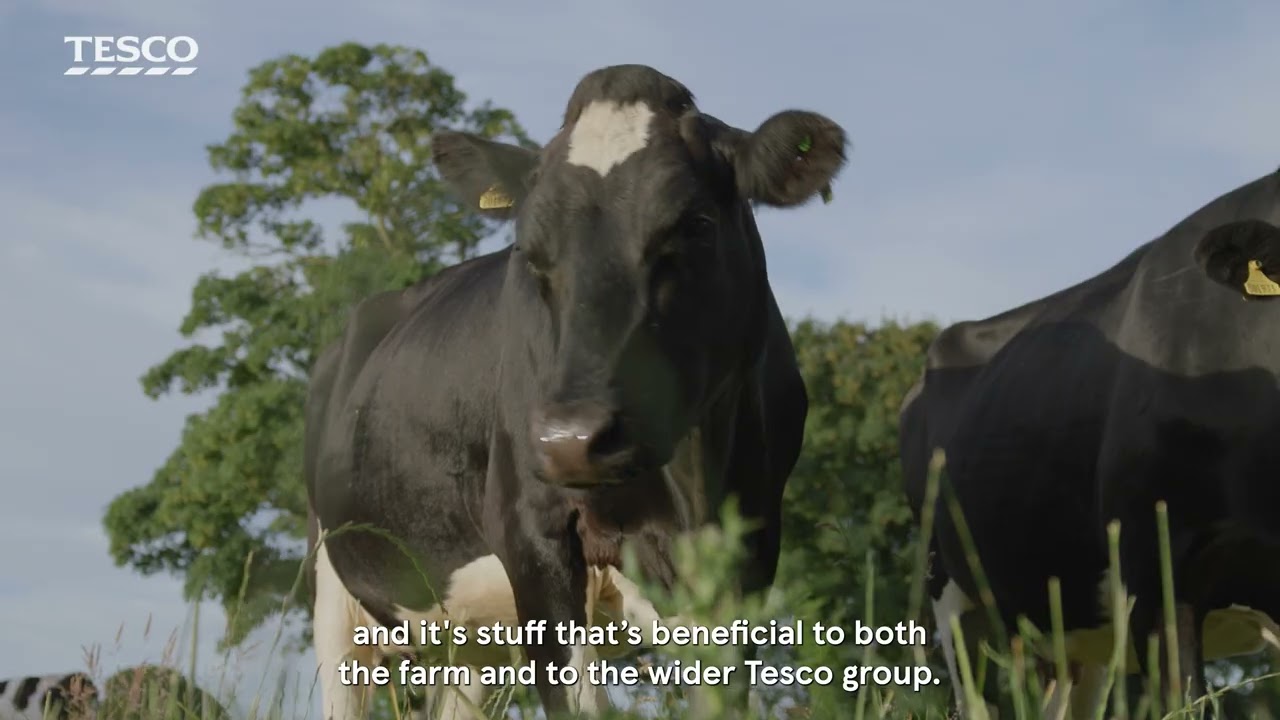 Tesco Sustainable Dairy Group