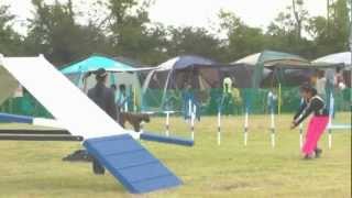 9-28,2012:JKC 神奈川ブロック: AG2 YOUPI