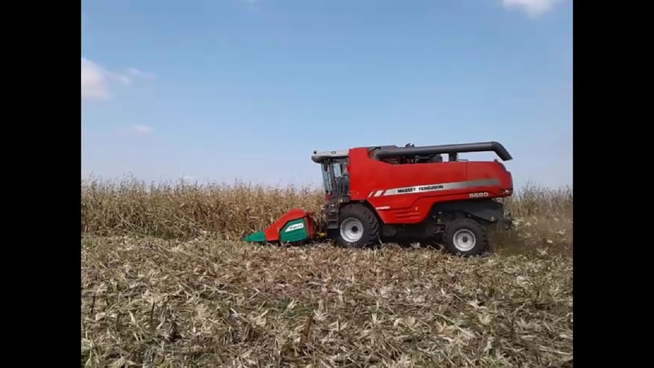 Minha Opiniao Sobre A Colheita Colheitadeira Mf 5650 Colhendo By Luiz Gonzaga Tv Maquinas E Animais