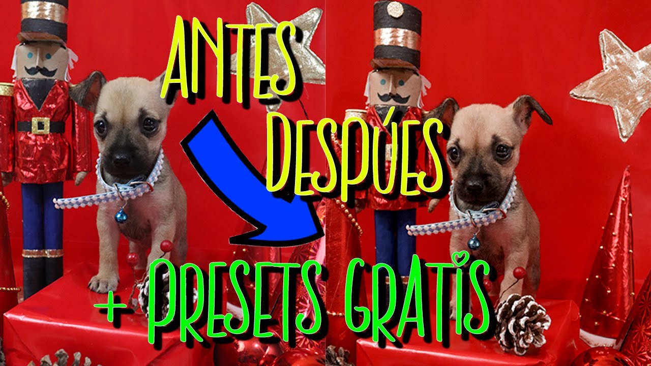 ⚠COMO EDITAR FOTOGRAFIAS⚠ DE MASCOTAS