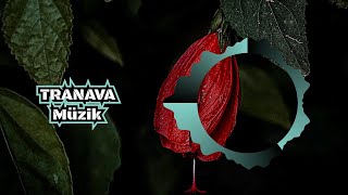 Murda & Ezhel - Bi Sonraki Hayatimda Gel | [Tranava Muzik] Resimi