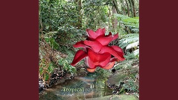 Thumbnail of Moving Breath 78