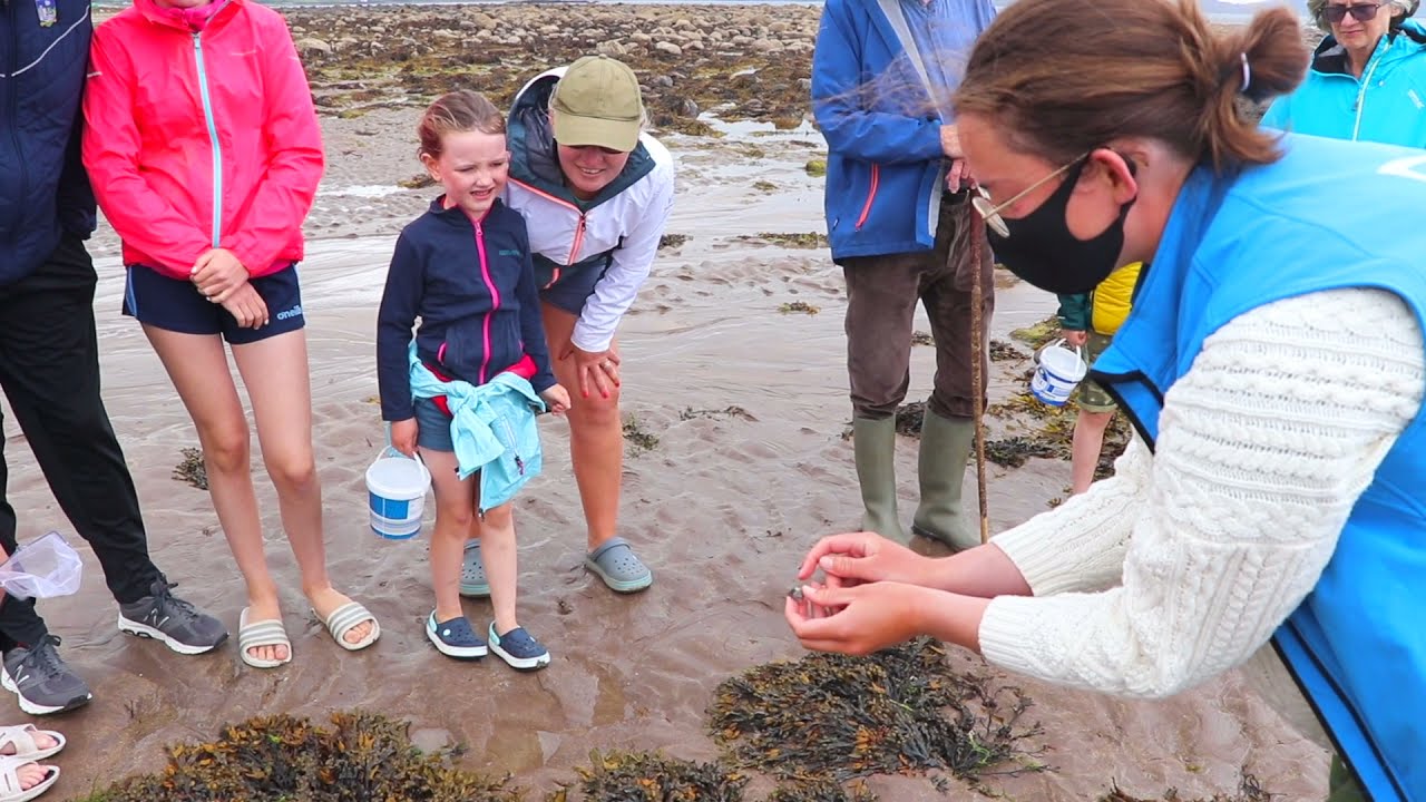 Seashore Safari with Sea Synergy