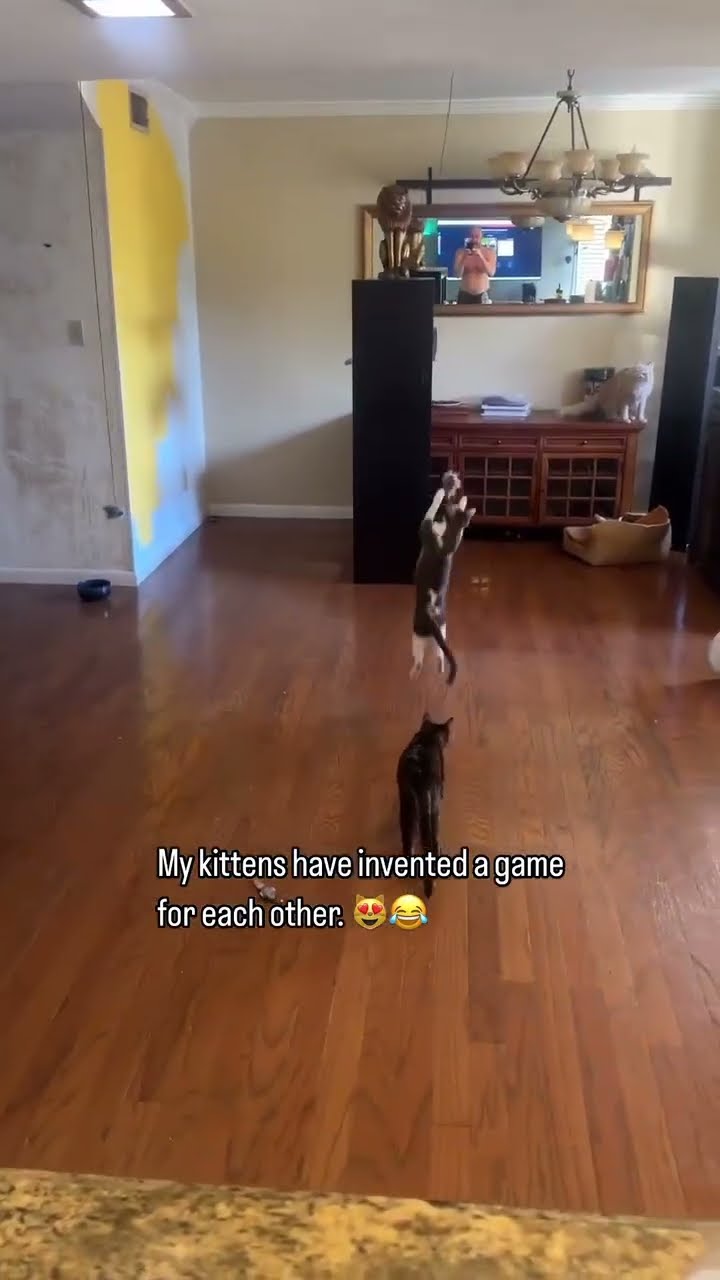 Kittyo like crawl to the top I’m loving the games from here
