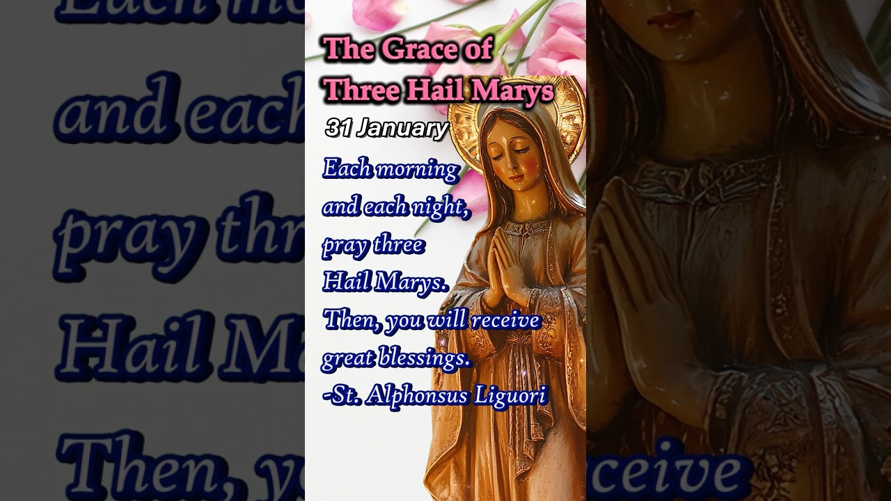 Three Hail Marys | Miracle Prayers for Mercy, Healing, Peace | 31 January