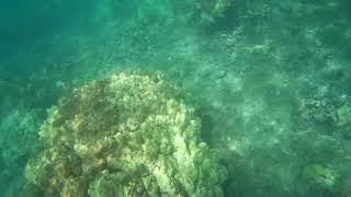 2017 0106 014434 007A