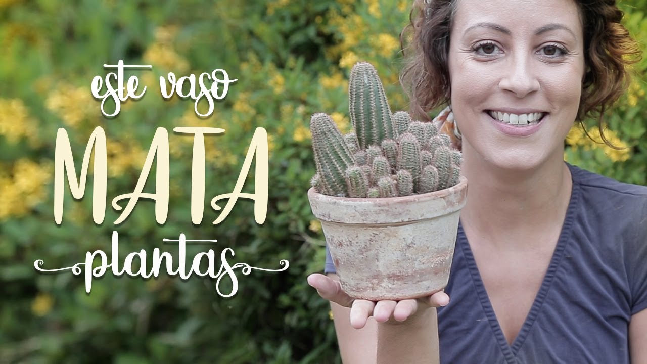 TOME CUIDADO se você tem um vaso assim