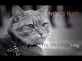 Angel's Rush - Official Song