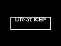 Life  icep