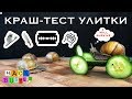 КРАШ-ТЕСТ УЛИТКИ - СУПЕР ЭКСПЕРИМЕНТ