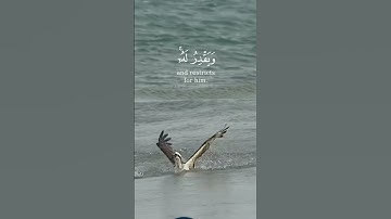 آيات من القرآن الكريم ذكرى للذاكرين #القرآن_الكريم_راحة_نفسية