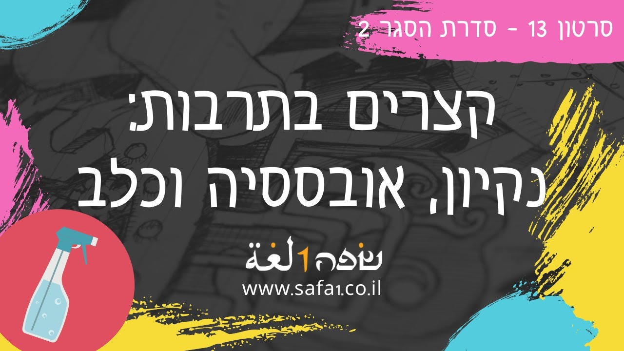 על נקיון, אובססיה וחיות מחמד - ערבית מדוברת עם שפה אחת