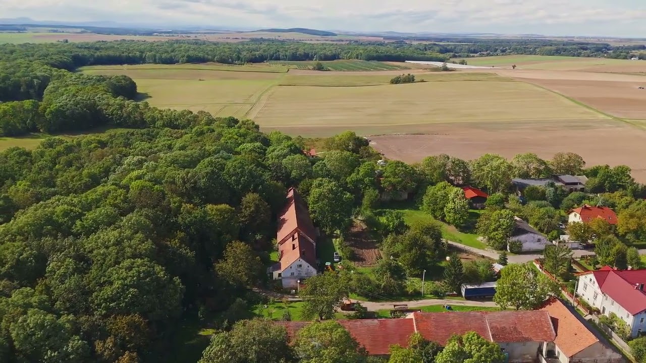 Działka pod lasem - dobry dojazd do Wrocławia - Działka - Sprzedaż - Wrocławski, Mietków / Wawrzeńczyce