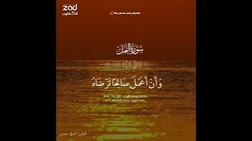 (حَتىٰ إِذا أَتوا علىٰ واد النمل قالت نملةٌ يا أَيها النملُ ادخلُوا مساكنكم)  القارئ| إسلام صبحي